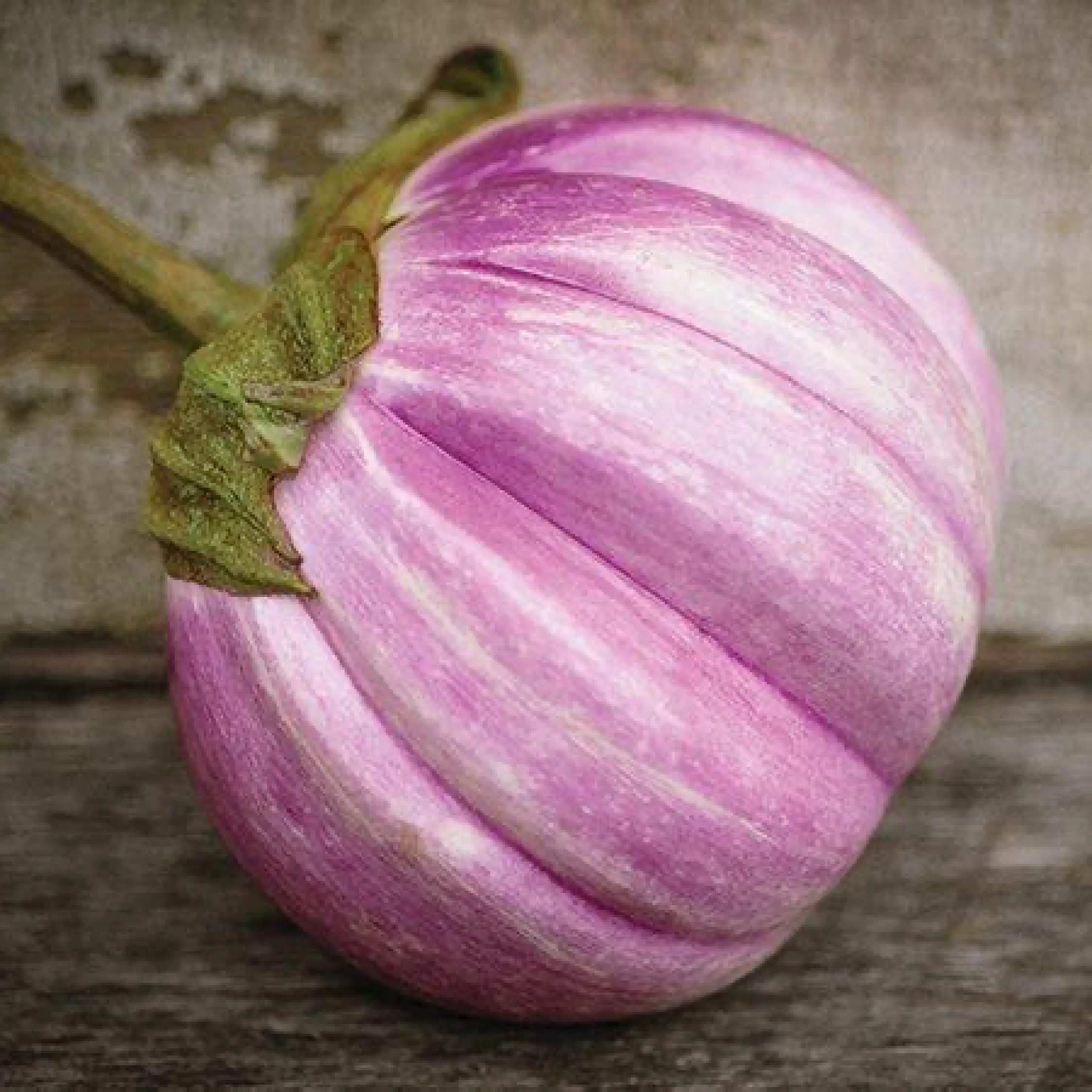 Баклажан ‘Rosa Bianca’