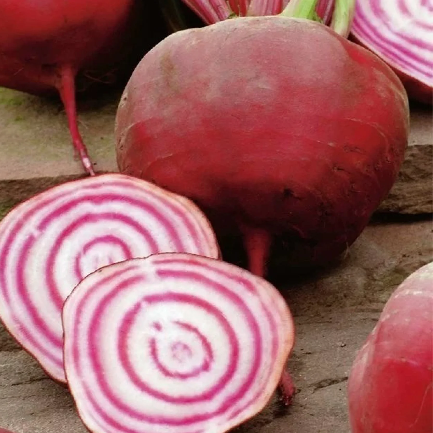 Буряк столовий ‘Tonda di Chioggia’