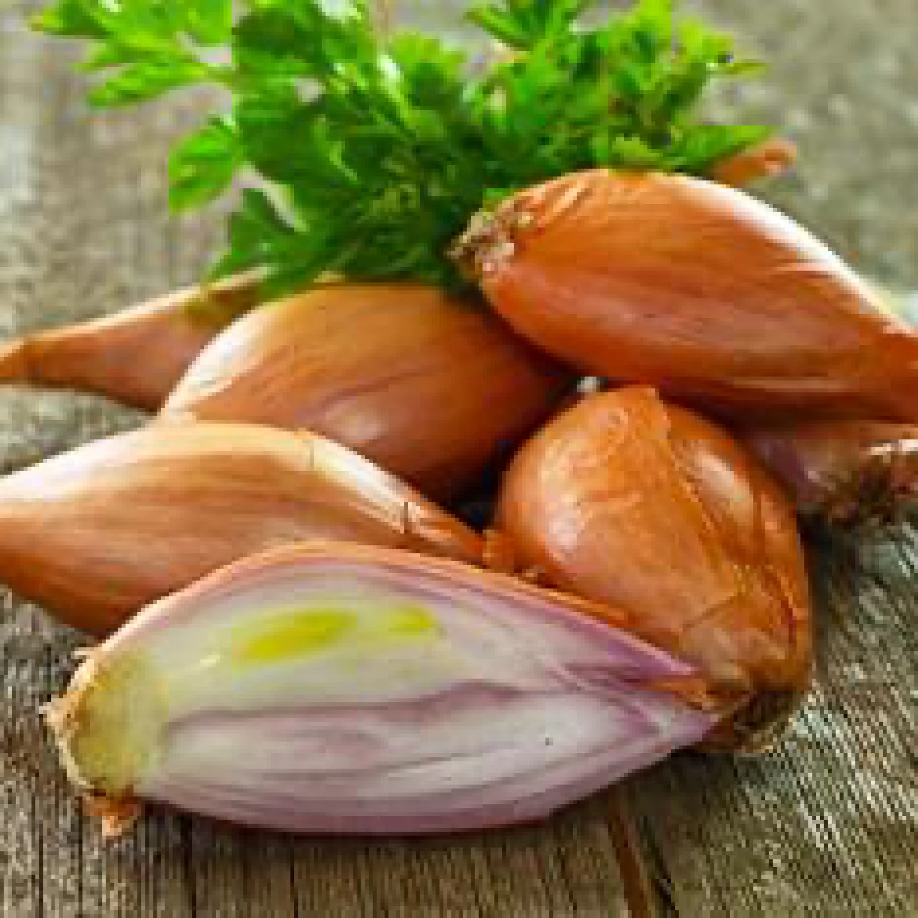 Цибуля шалот