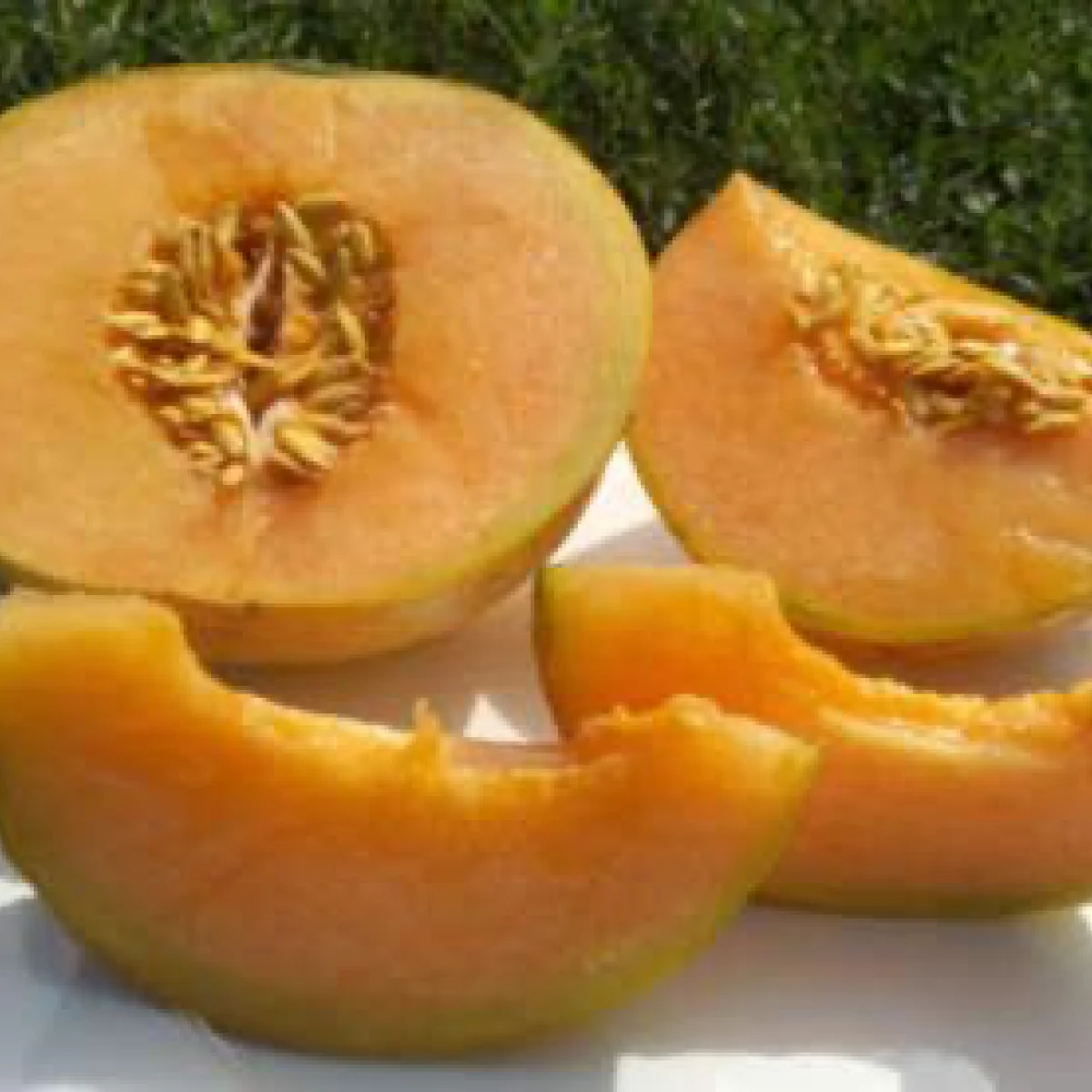 Диня ‘Ambrosia’ (Cucumis melo)