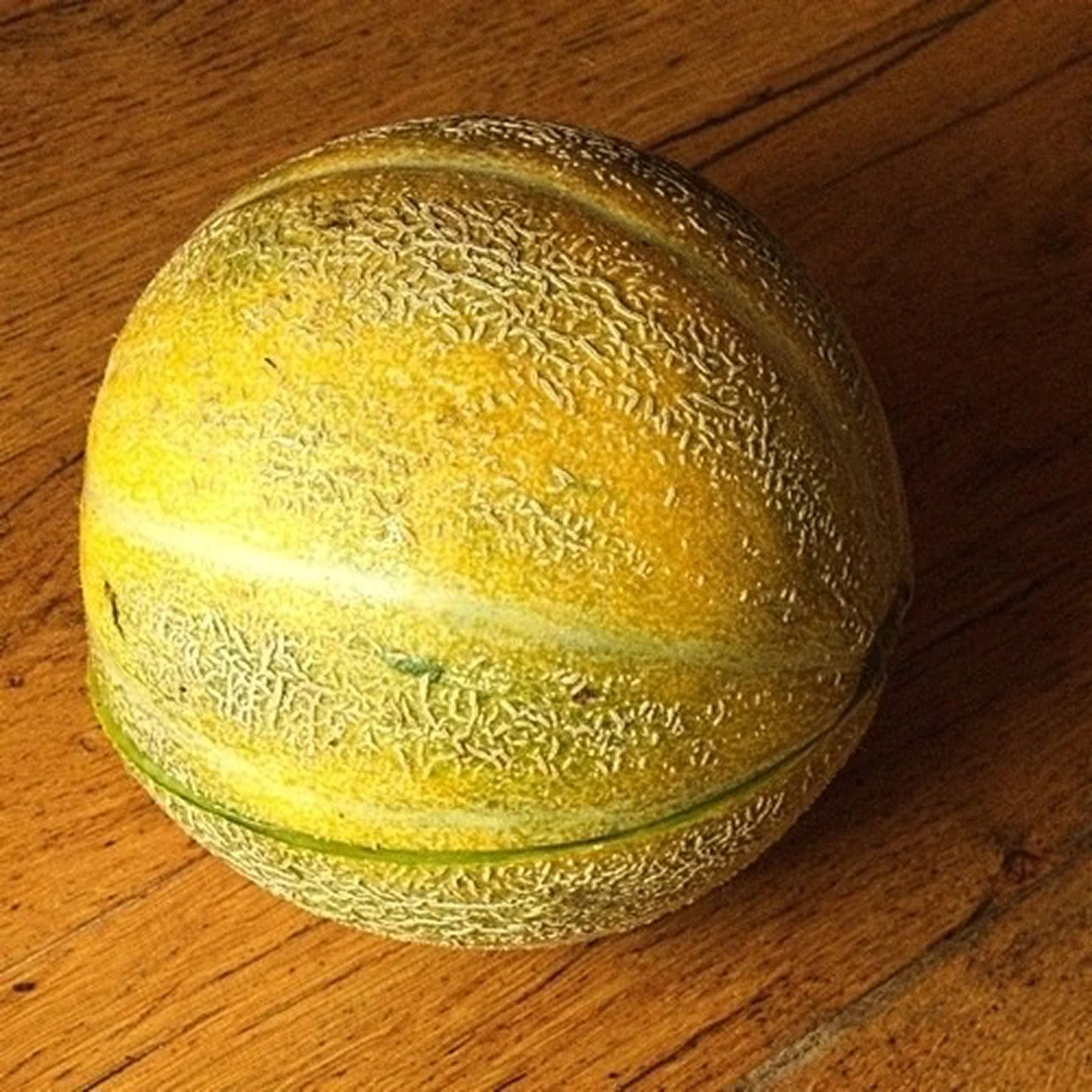 Диня ‘ZoetZat’