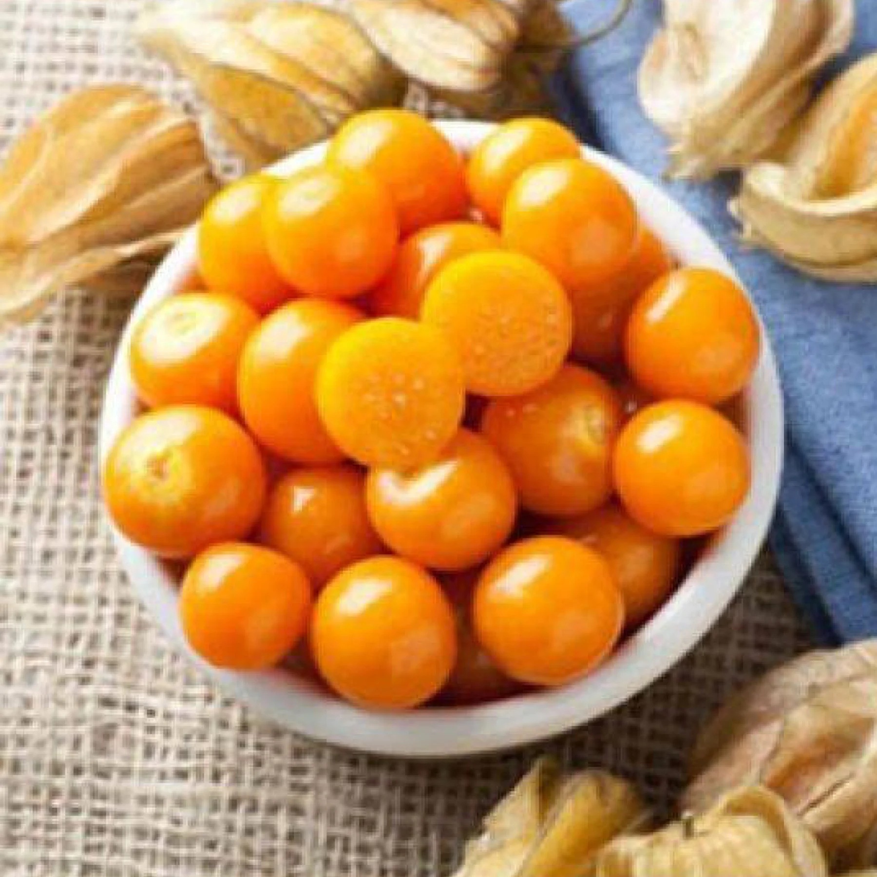 Фізаліс ‘Ананасний’ (Physalis pruinosa)