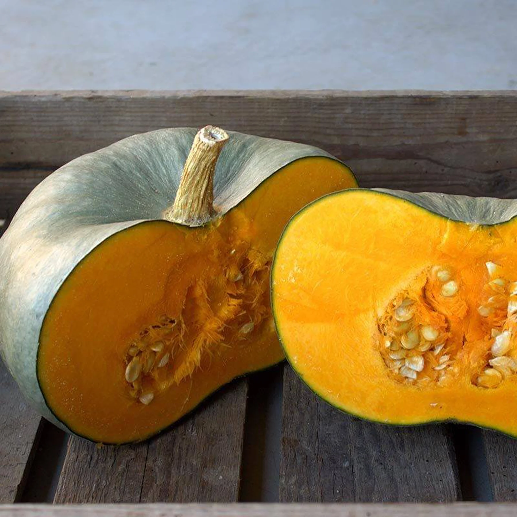 Гарбуз ‘Black Prince’ (Cucurbita maxima)