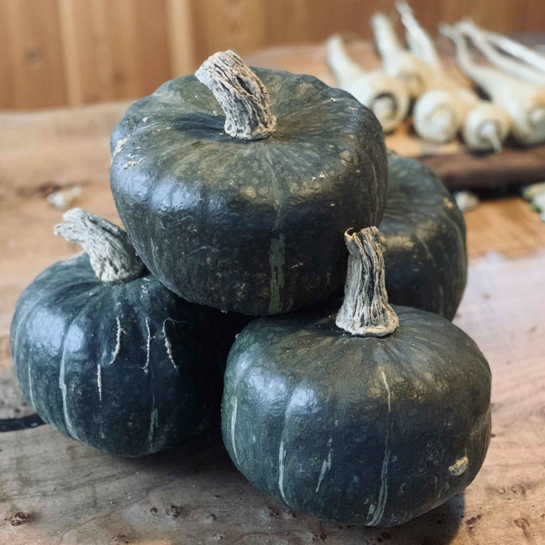 Гарбуз ‘Burgess Buttercup’ (Cucurbita maxima)