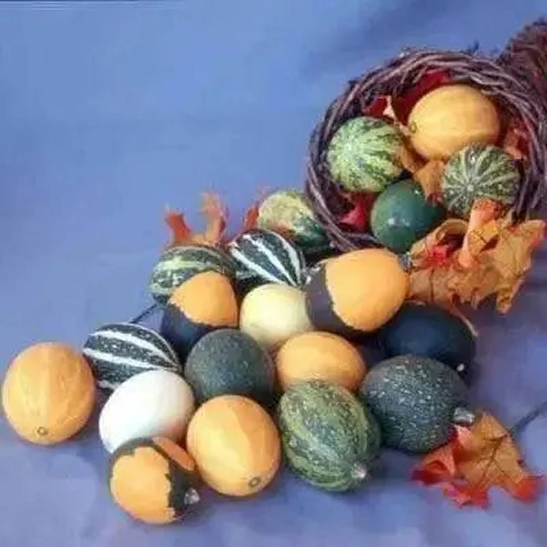 Гарбуз ‘Goblin Eggs Mix’ (Gourds)
