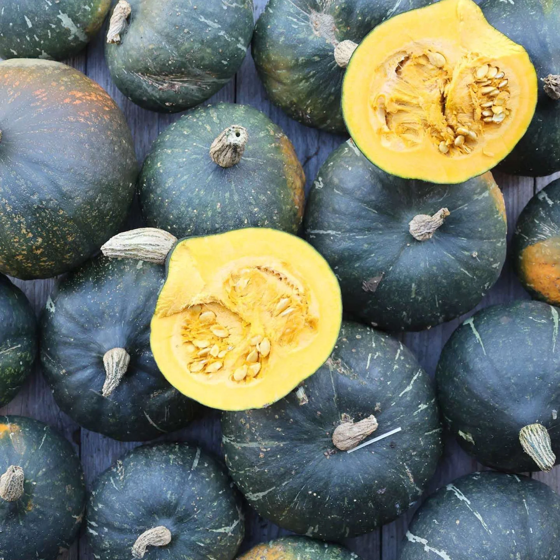 Гарбуз ‘Groene Hokkaido’ (Cucurbita maxima)