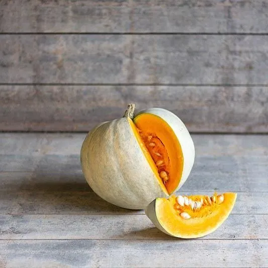 Гарбуз ‘Lumina White’ (Cucurbita maxima)