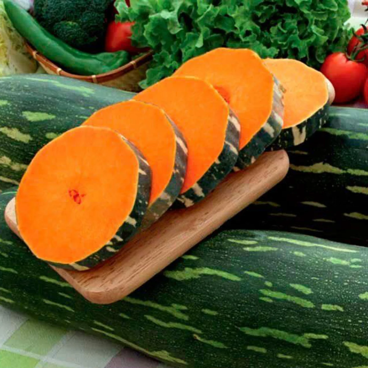 Гарбуз ‘Lunga Piena di Napoli’ (Cucurbita moschata)