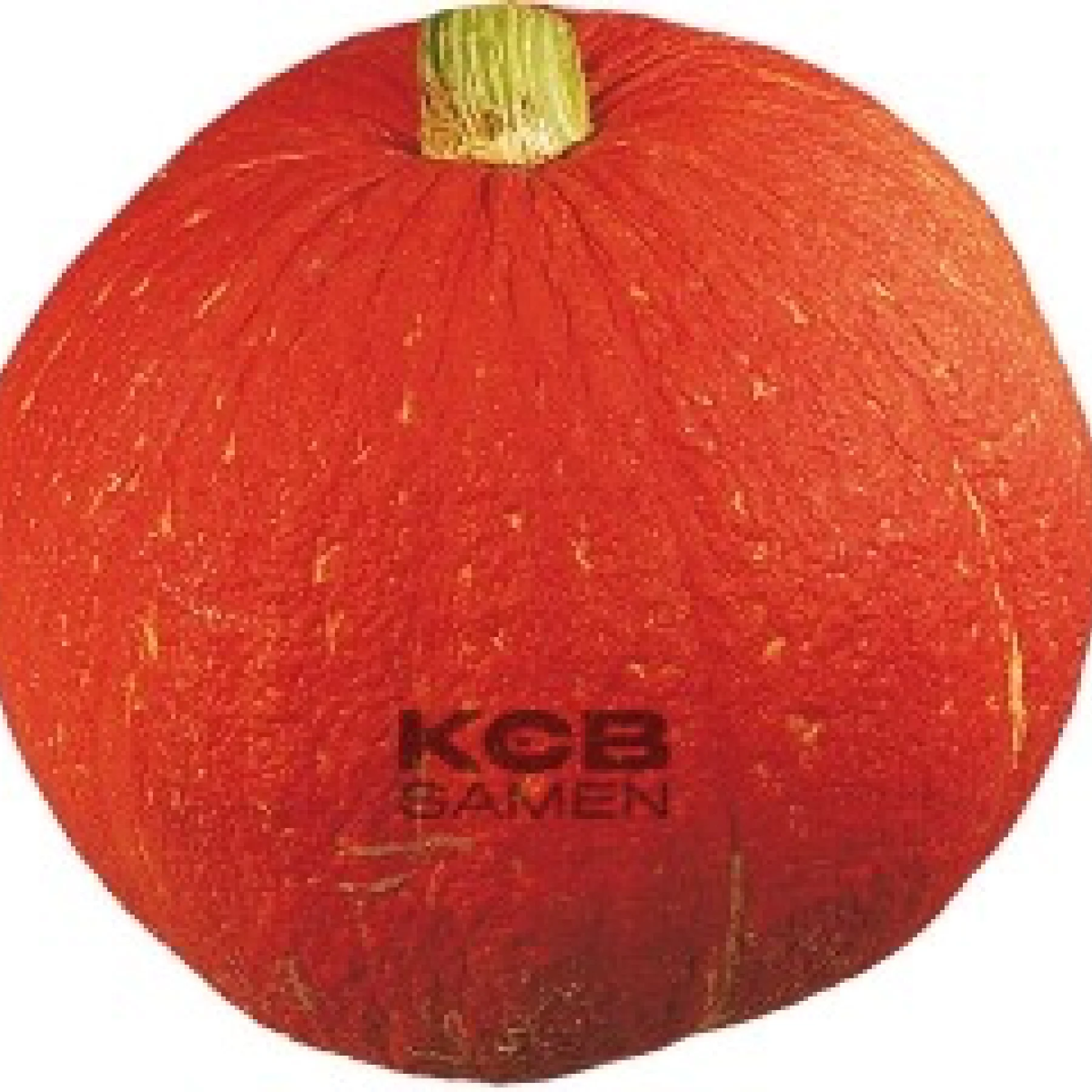 Гарбуз ‘Red Eye’ (Cucurbita maxima)