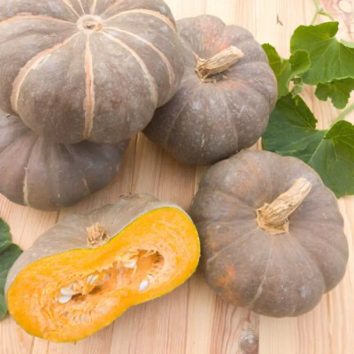 Гарбуз ‘Strawberry Crown’ (Cucurbita maxima)