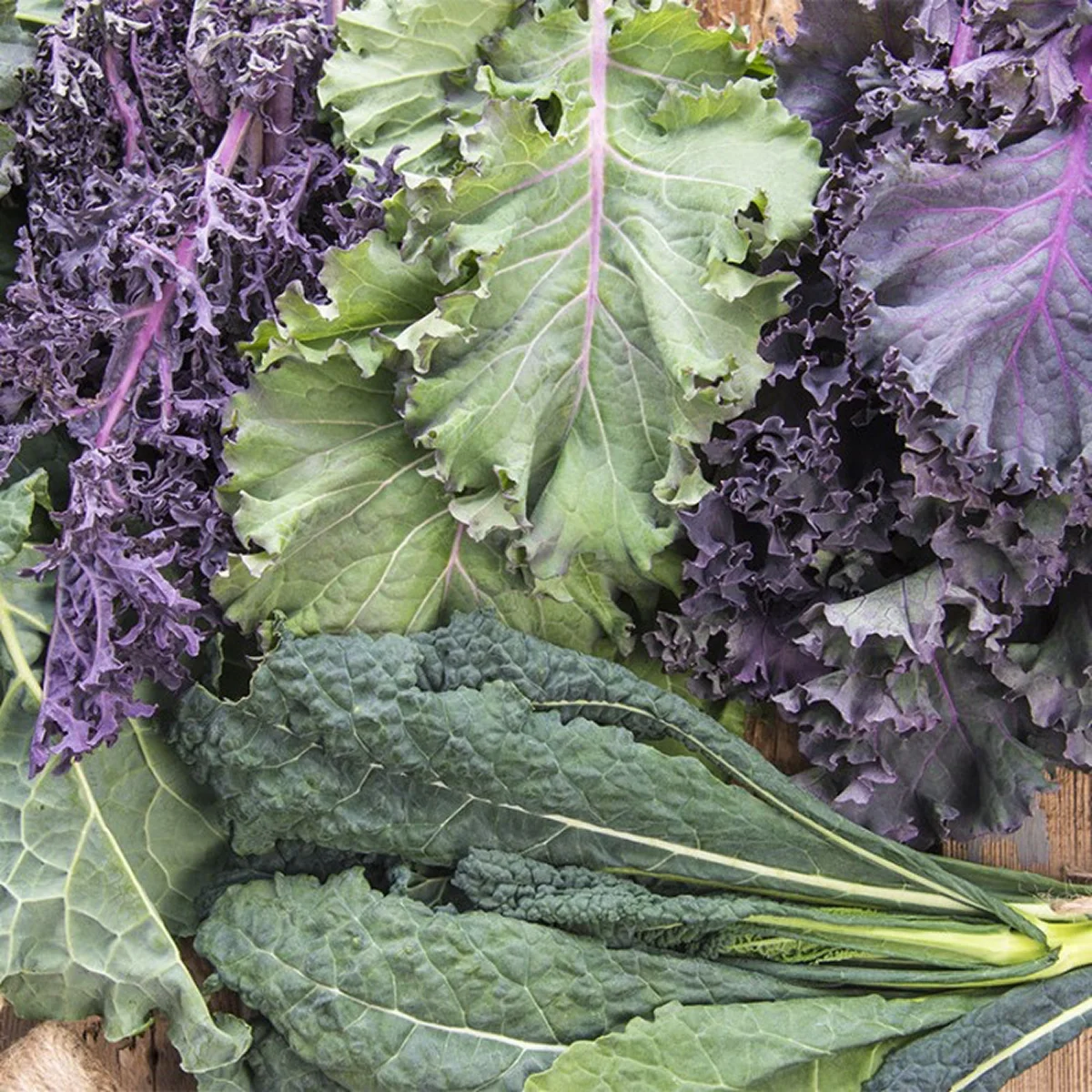 Капуста кейл мікс (Kale Mix)