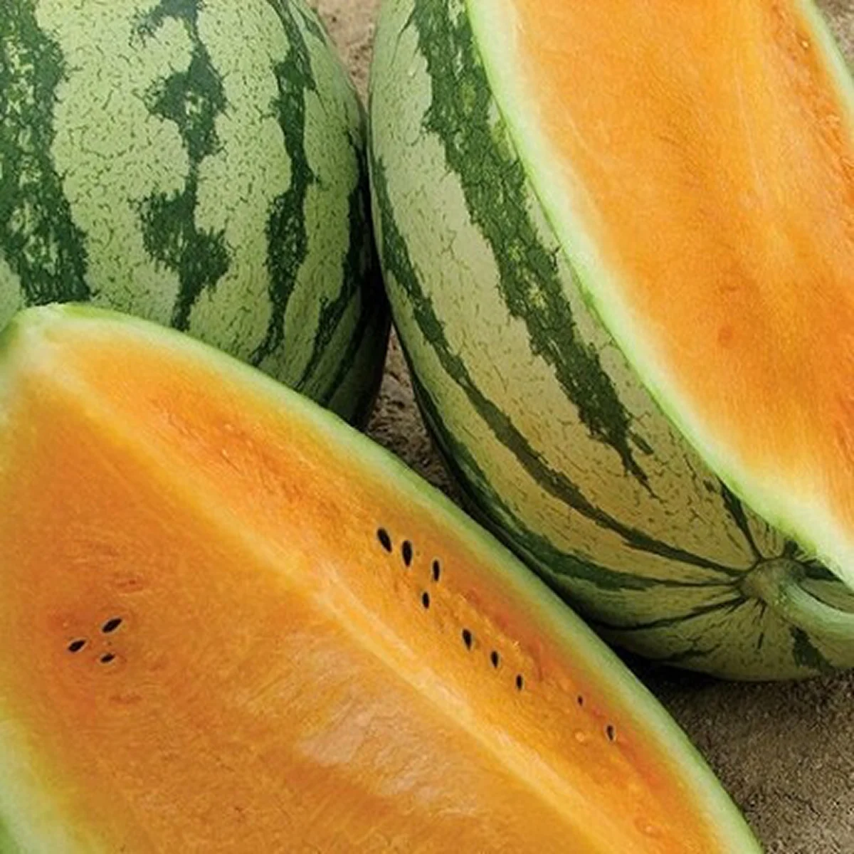 Кавун ‘Orange King F1’ (Citrullus lanatus)