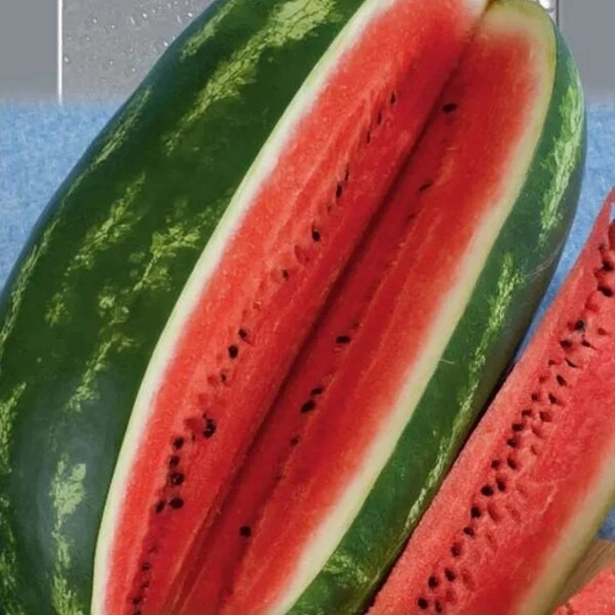 Кавун ‘Royal Majestic’ (Citrullus lanatus)