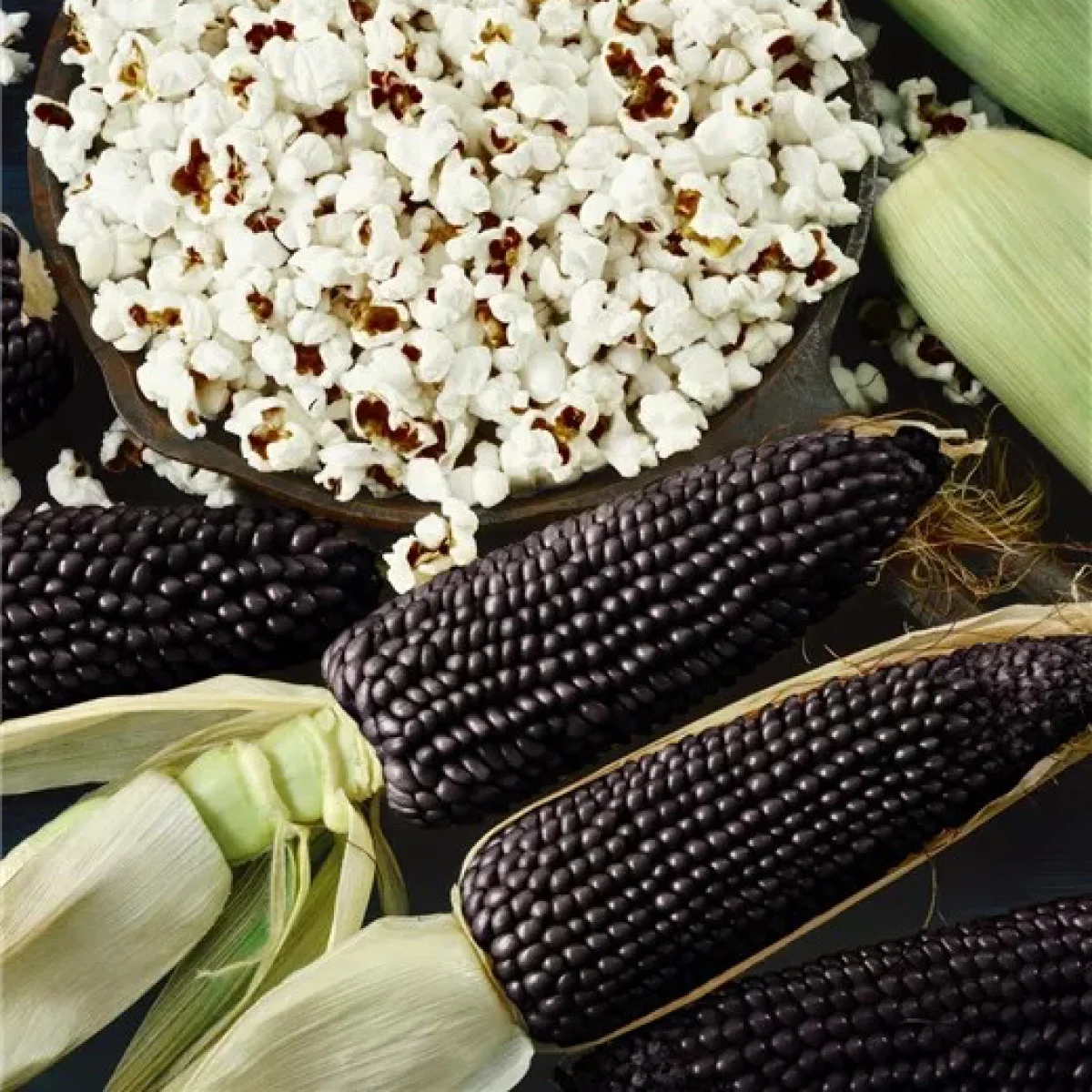 Кукурудза для попкорну ‘Negro Cine’