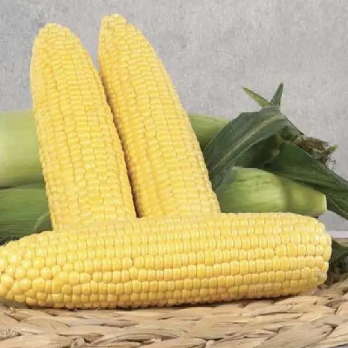 Кукурудза суперсолодка ‘Dobrynia F1’