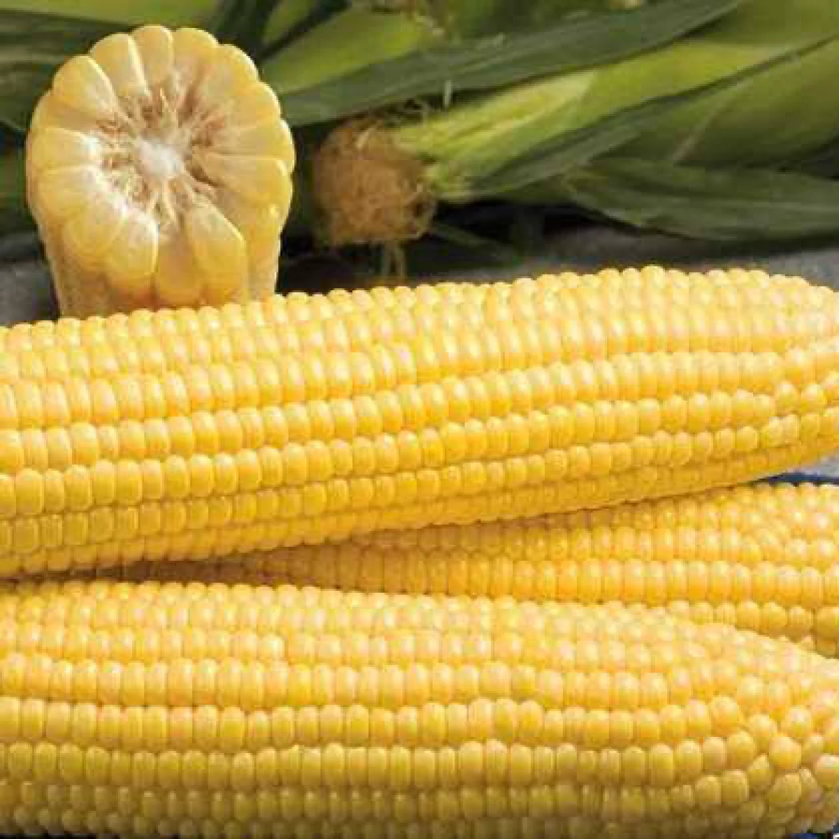 Кукурудза суперсолодка ‘Moreland F1’