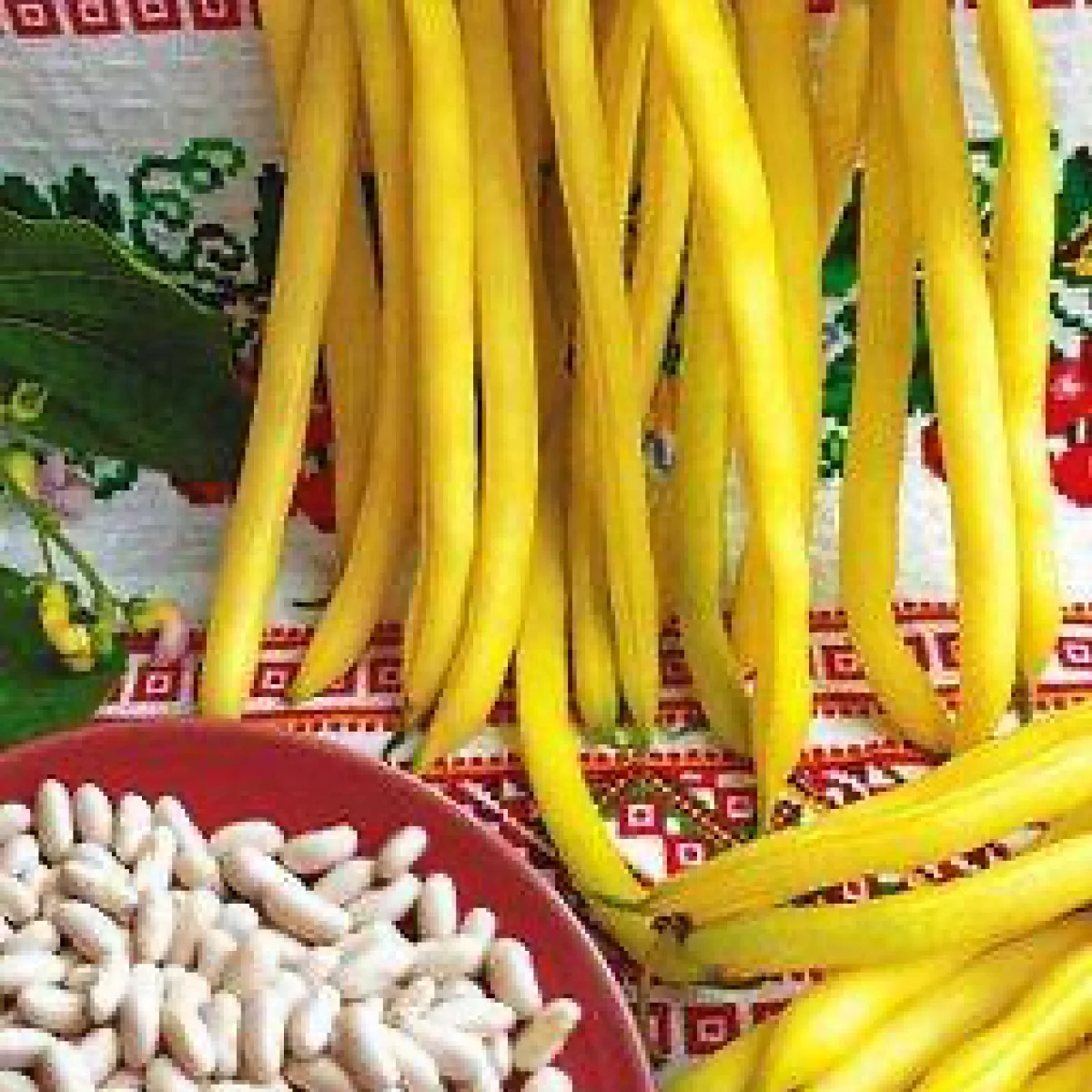 Квасоля спаржева кущова ‘Beauty’