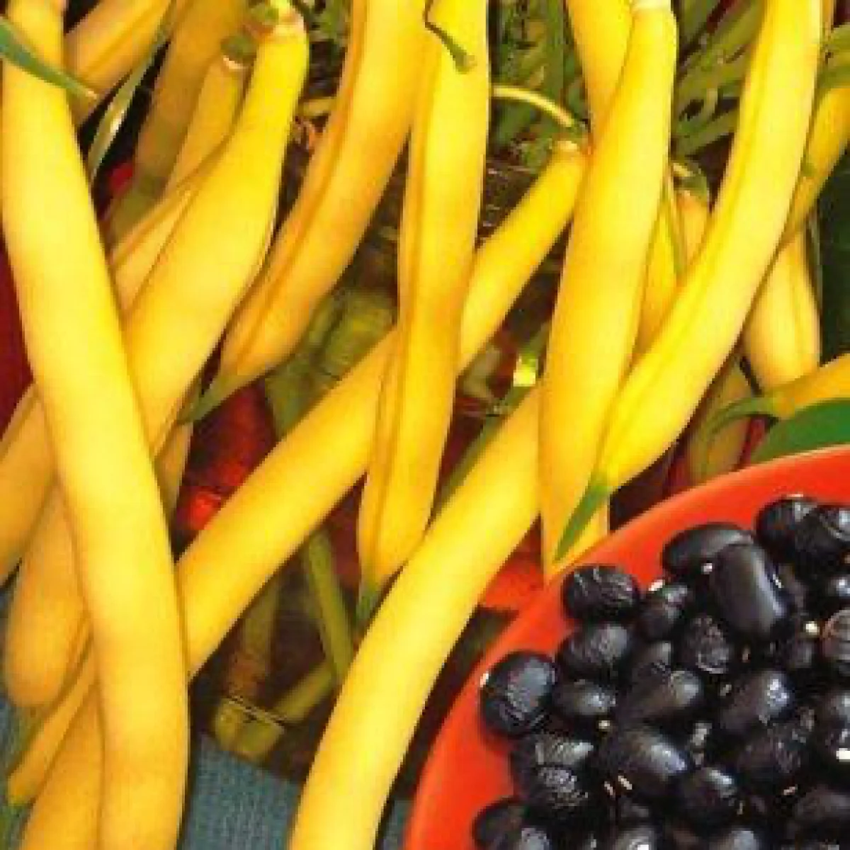 Квасоля спаржева ‘Black Net’