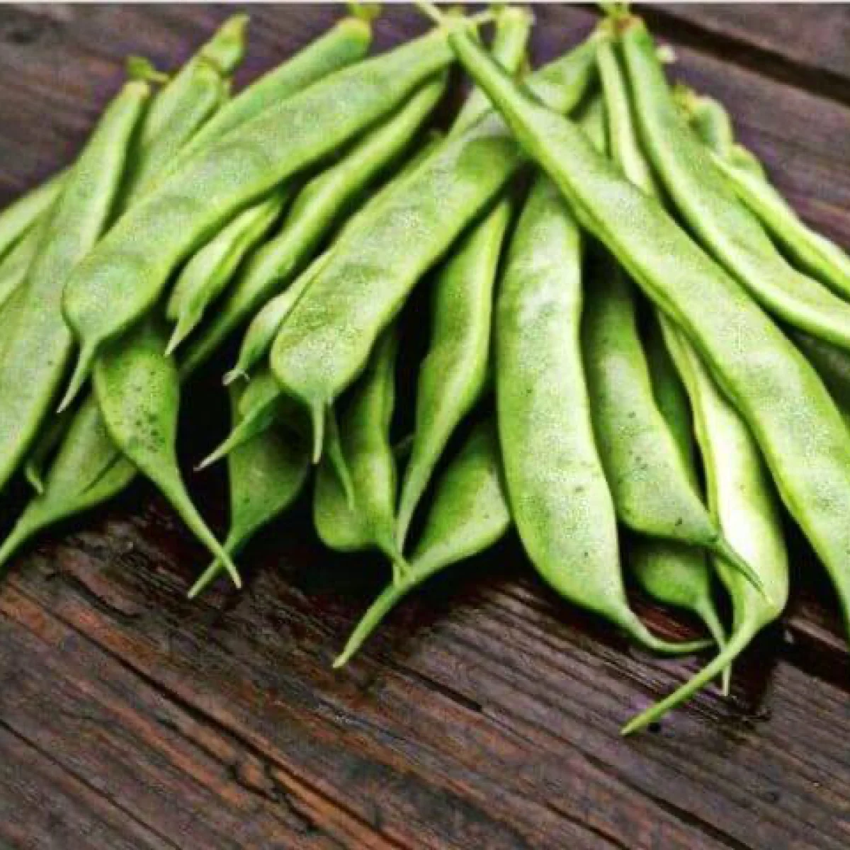 Квасоля спаржева ‘Marconi’