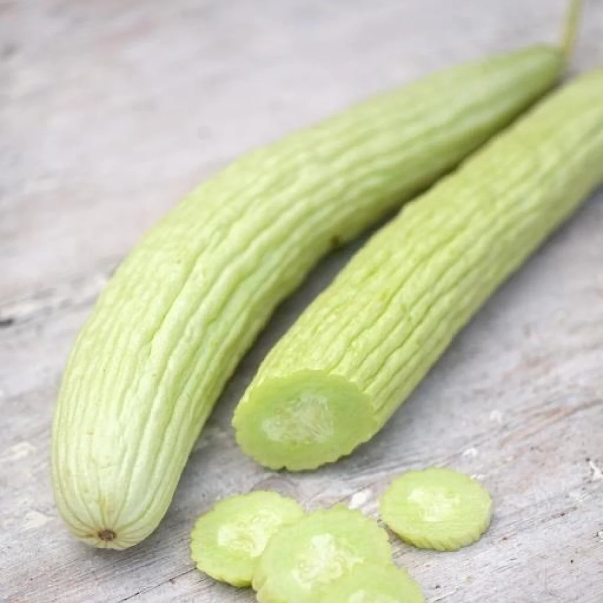 Огірок-диня ‘Tortarello Abruzzese Chiaro’ (Cucumis melo)