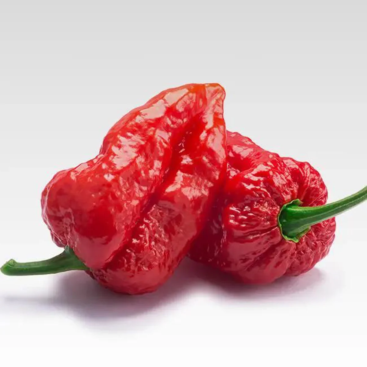 Перець гострий ‘Big Mama Red’