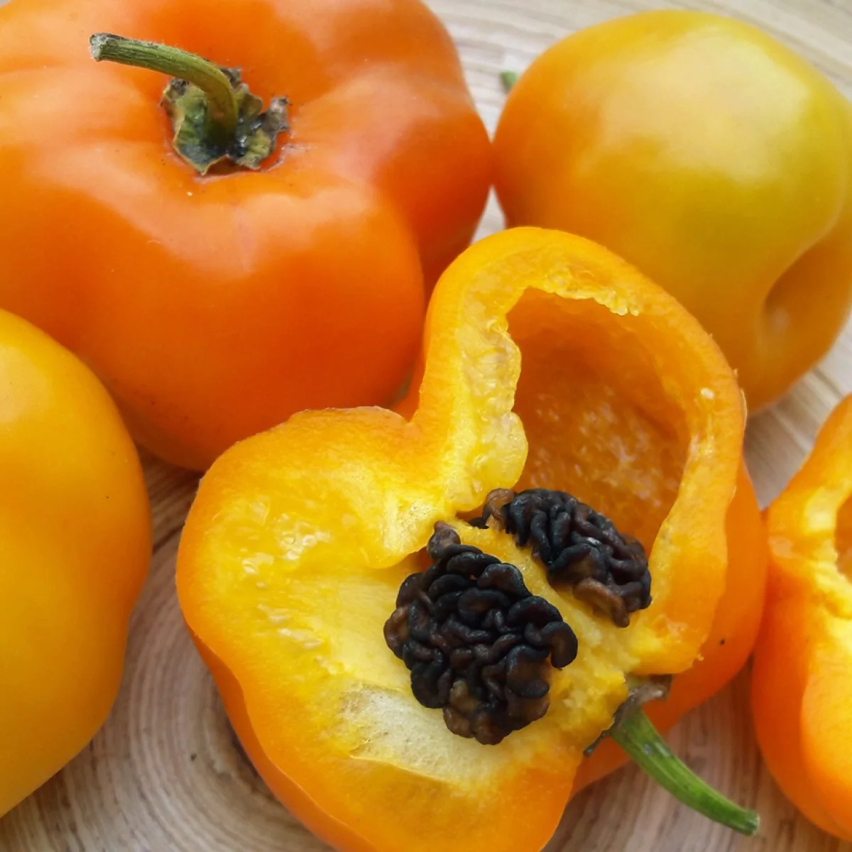 Перець гострий ‘Rocoto Gelbe Riesen’