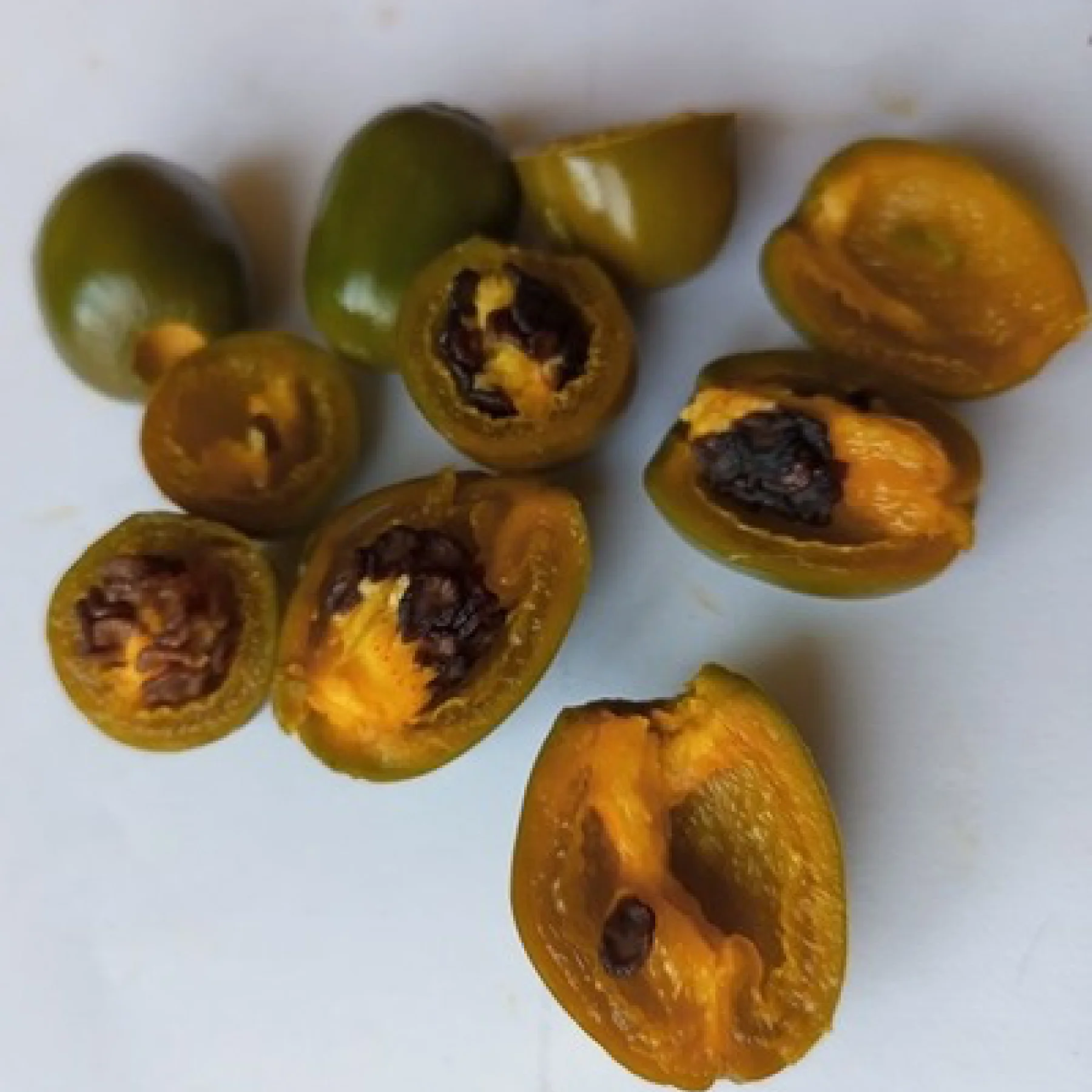 Перець гострий ‘Rokoto Mini Olive’