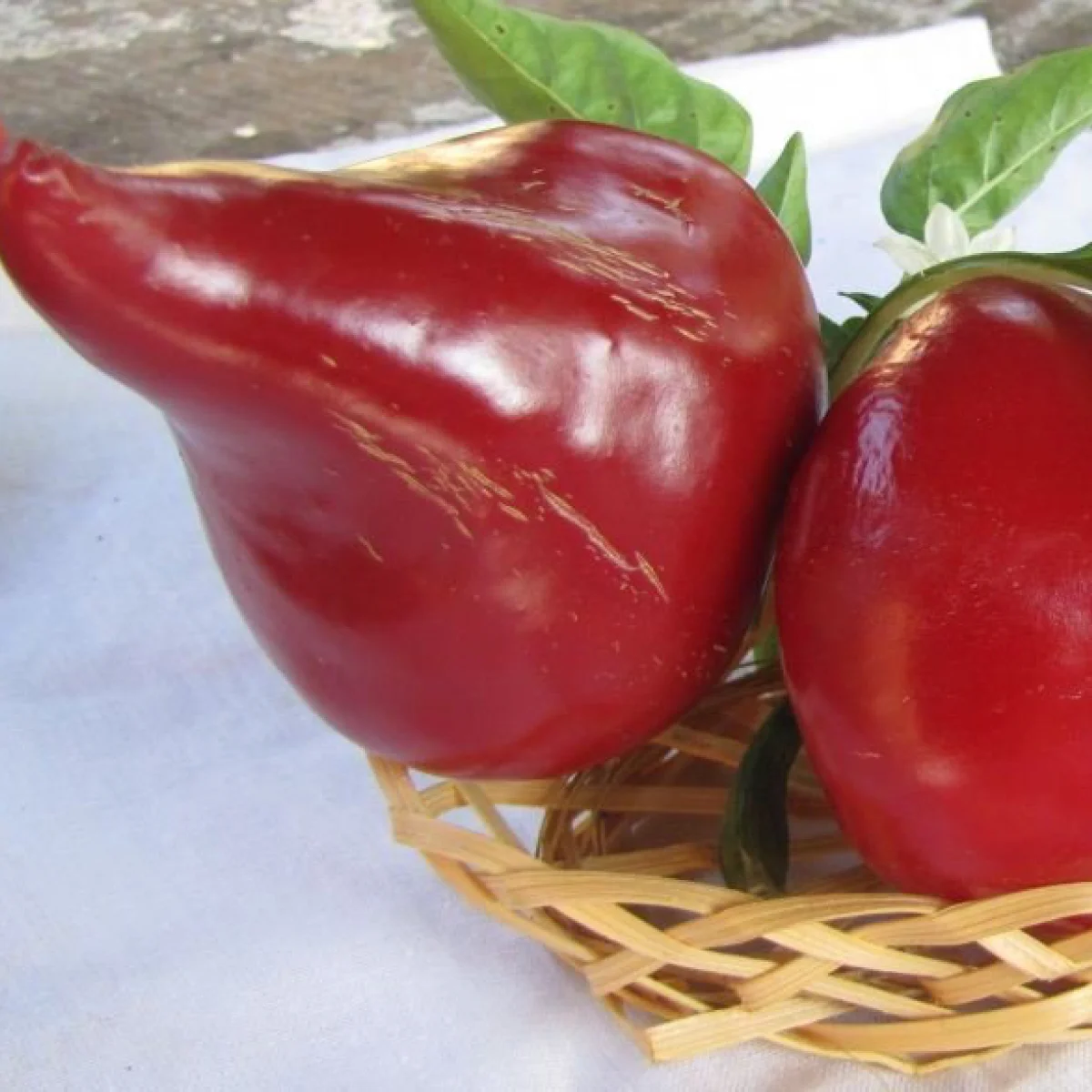 Перець солодкий ‘Леся’