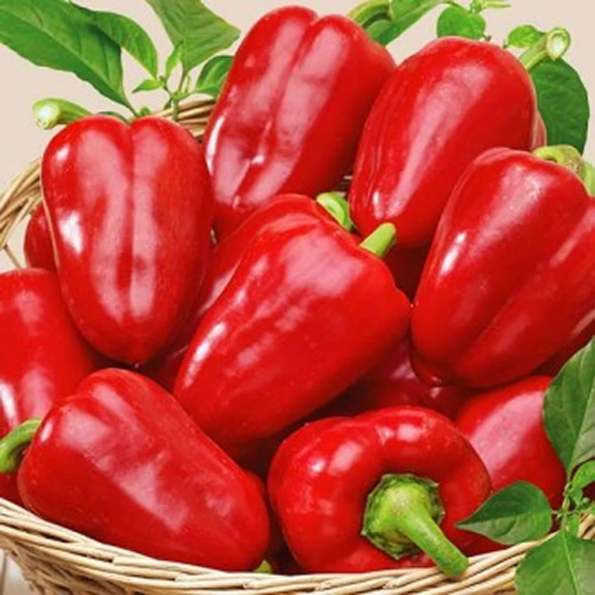 Перець солодкий ‘Вогняний етюд’