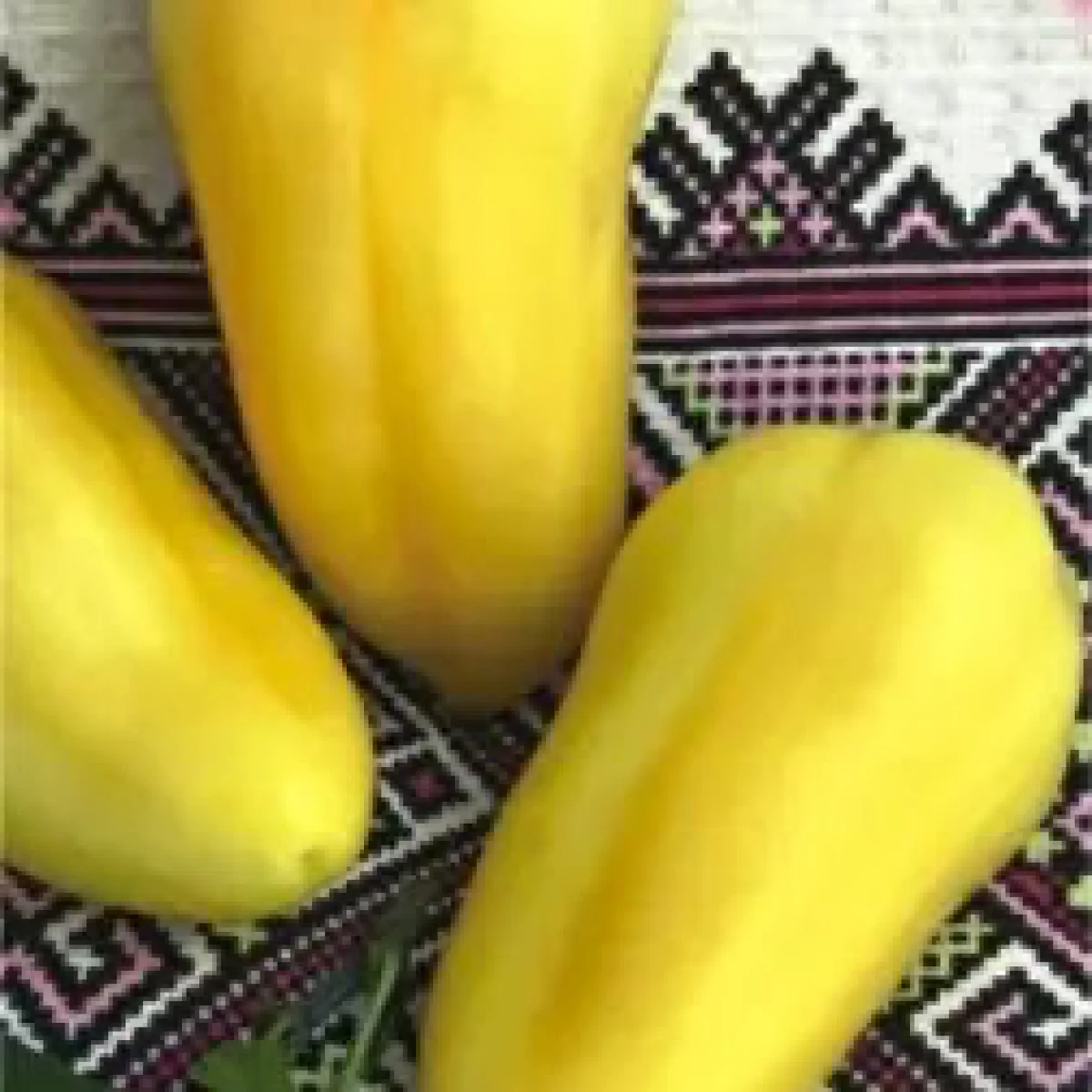 Перець солодкий ‘Вундеркінд’