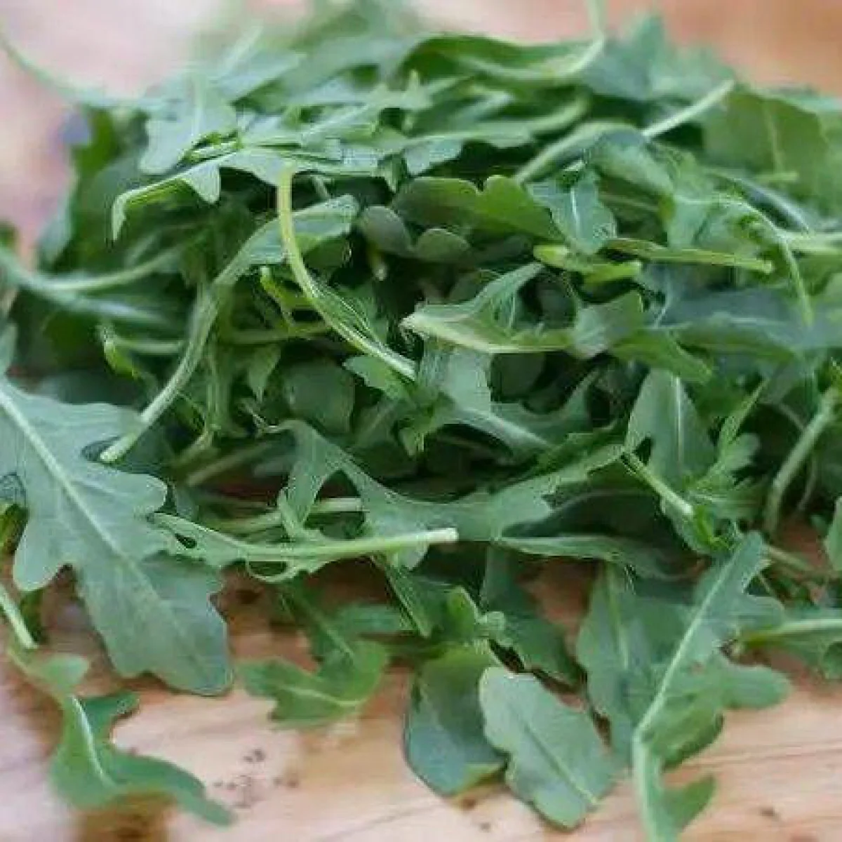 Рукола ‘Coltivata’ (Eruca sativa)