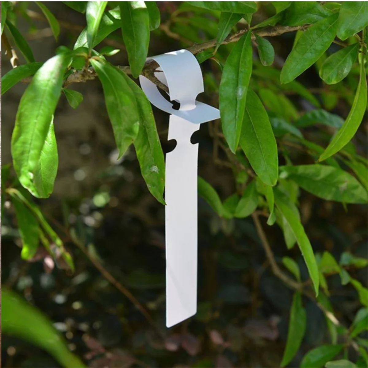 Садова бірка-петля для маркування рослин (пластик)