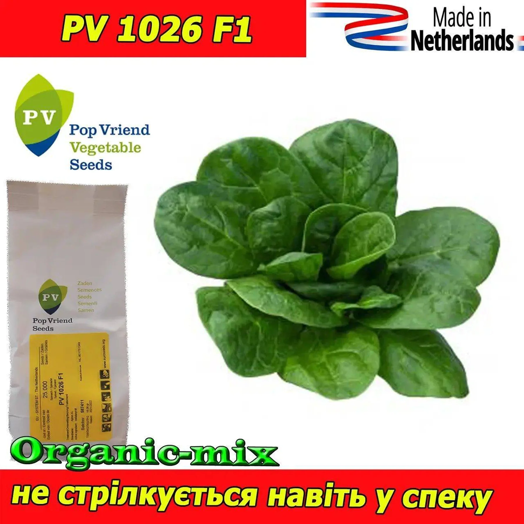 Шпинат ‘PV 1026 F1’ (Spinacia oleracea)