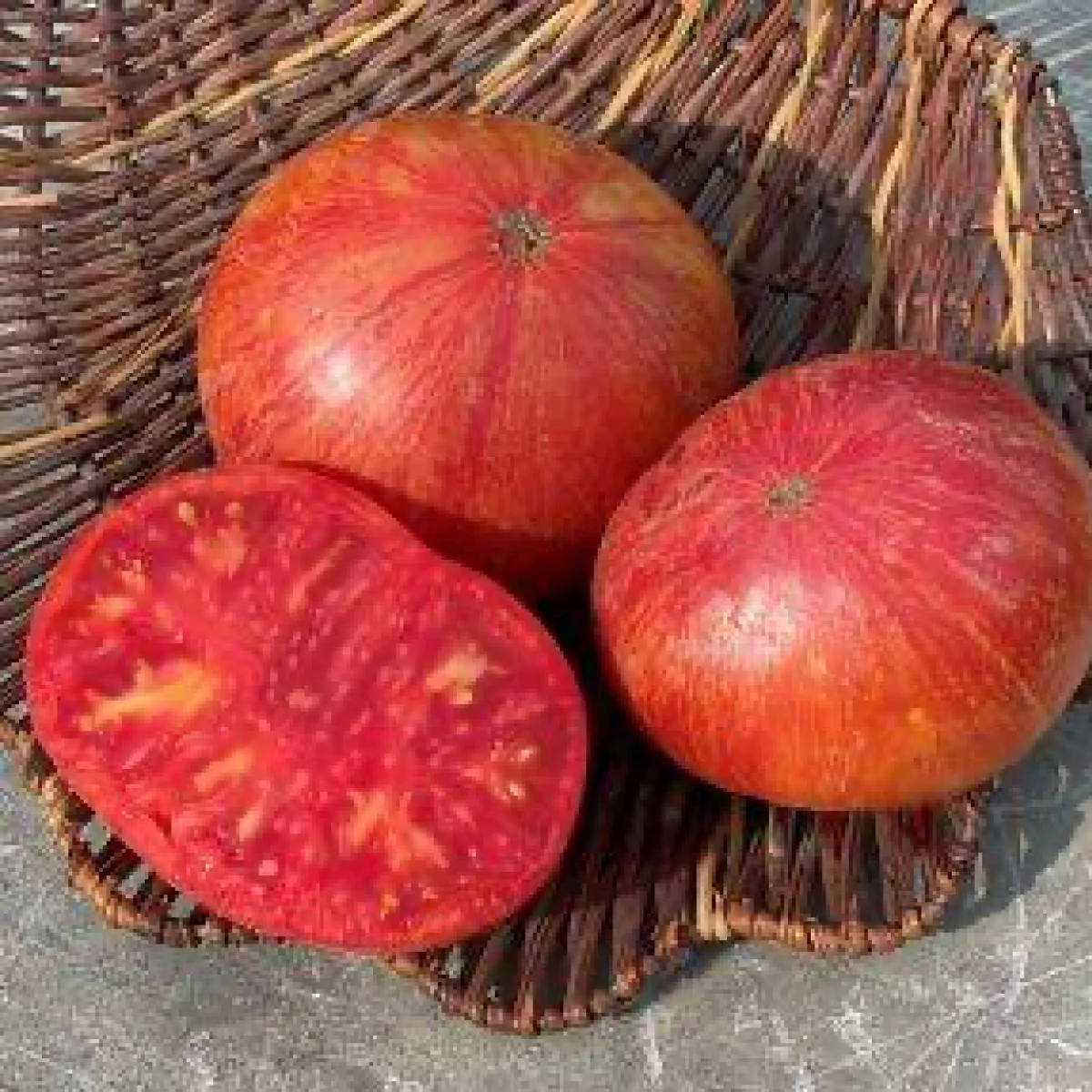 Томат карлик ‘Dwarf Firebird Sweet’ (Solanum lycopersicum)