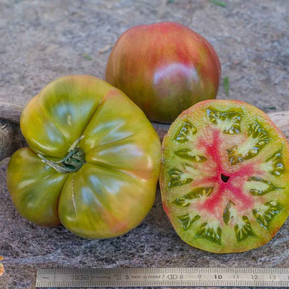 Томат низький ‘Crimson Sunset Dwarf’ (Solanum lycopersicum)