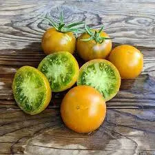 Томат низький ‘Devil's Garden Dwarf’ (Solanum lycopersicum)