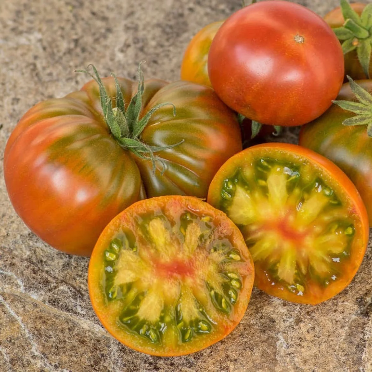 Томат низький ‘Dwarf Copperhead’ (Solanum lycopersicum)