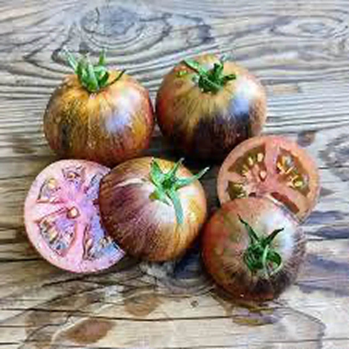 Томат низький ‘Dwarf Gondwana Lava’ (Solanum lycopersicum)