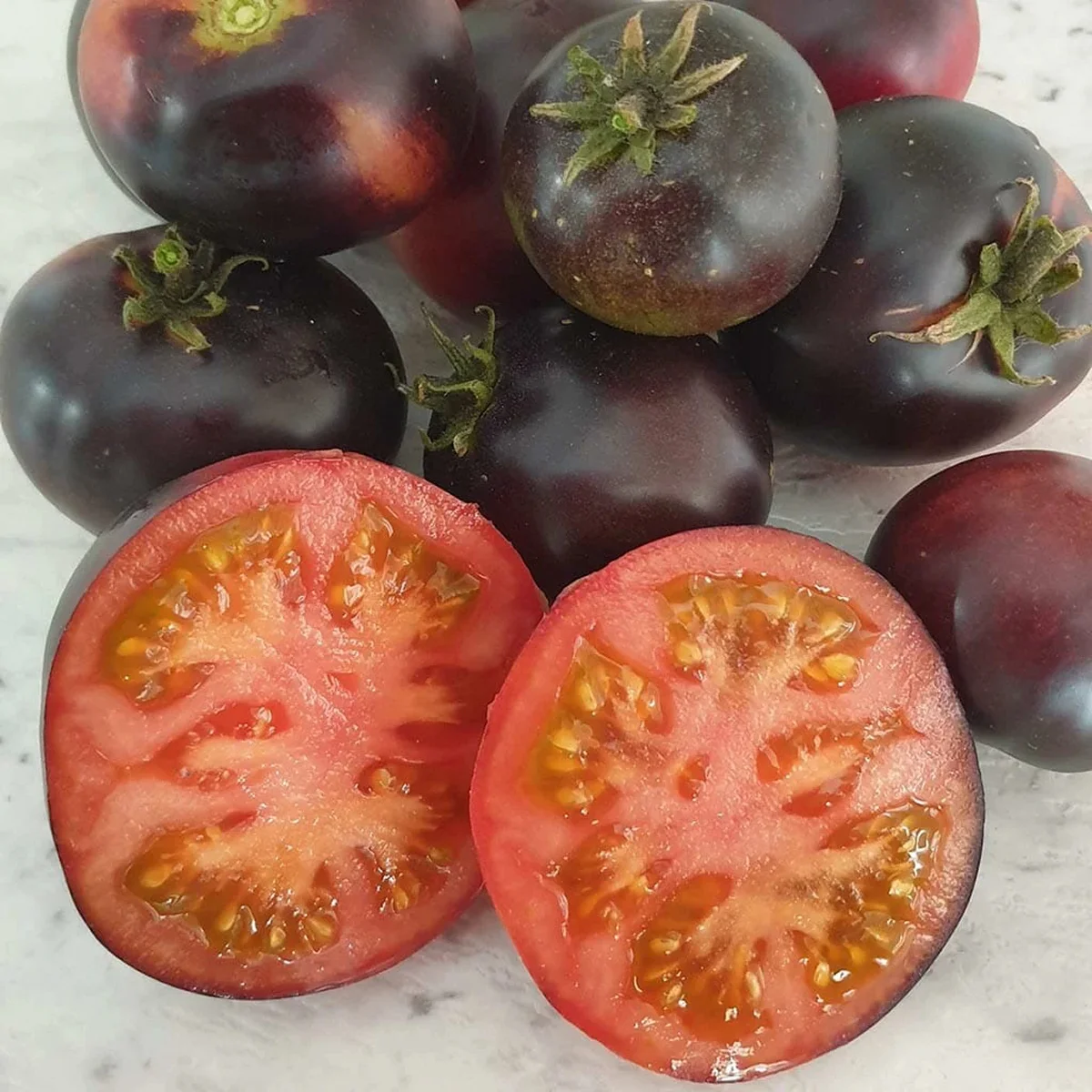 Томат низький ‘Dwarf Gondwana Rose’ (Solanum lycopersicum)