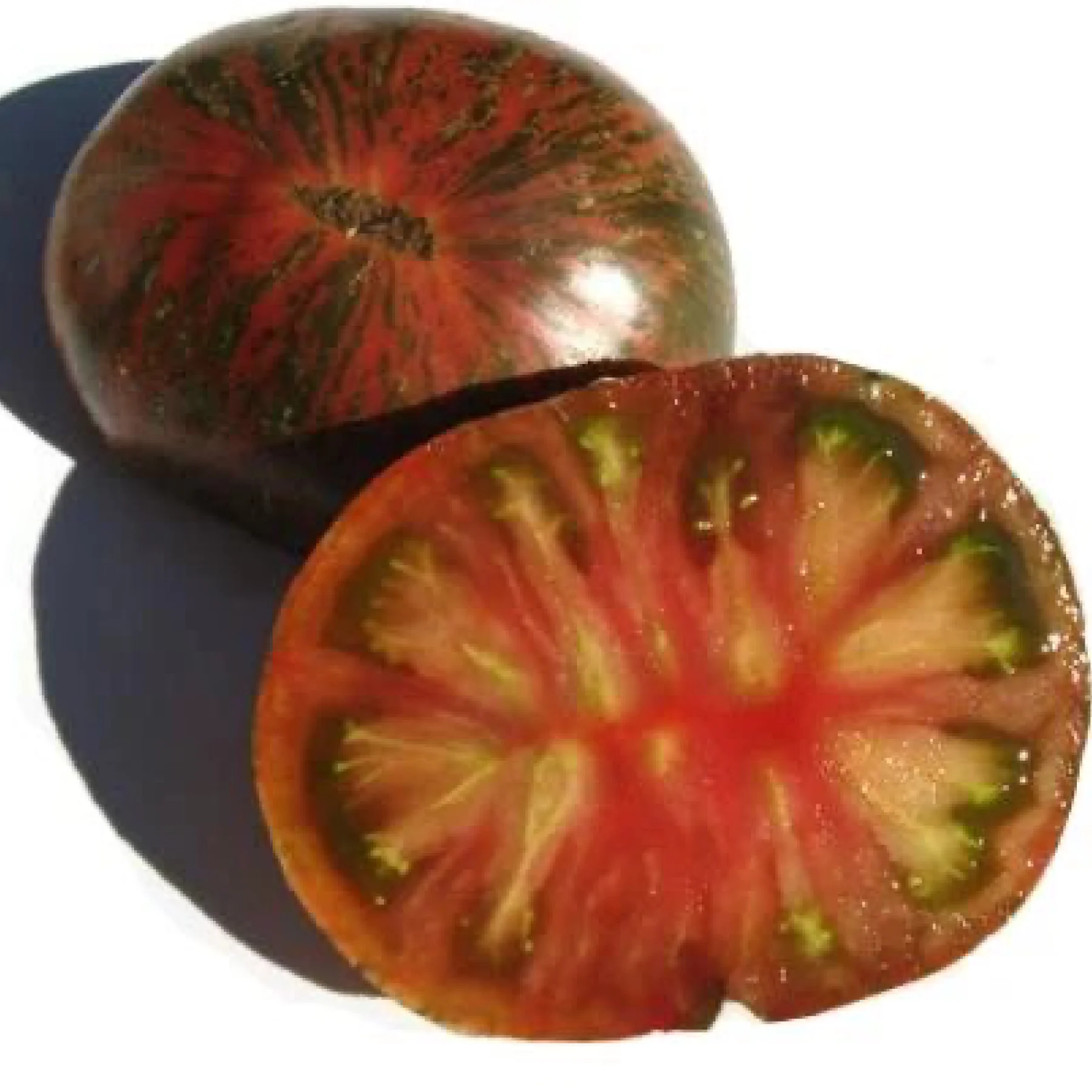 Томат низький ‘Holea Festival’ (Solanum lycopersicum)