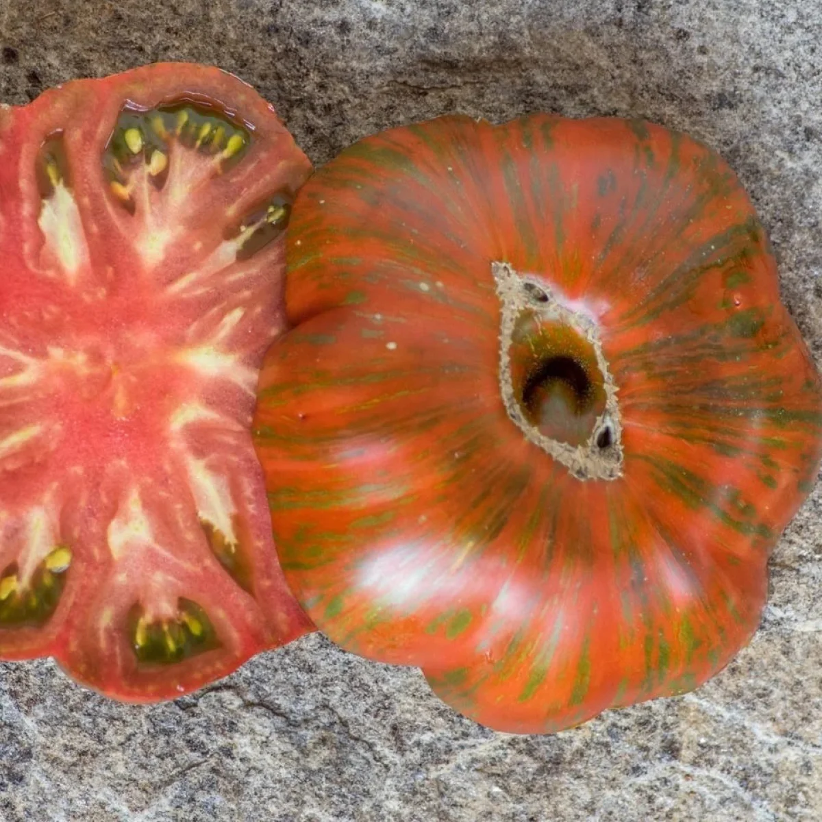 Томат високий ‘Andy Stripes’