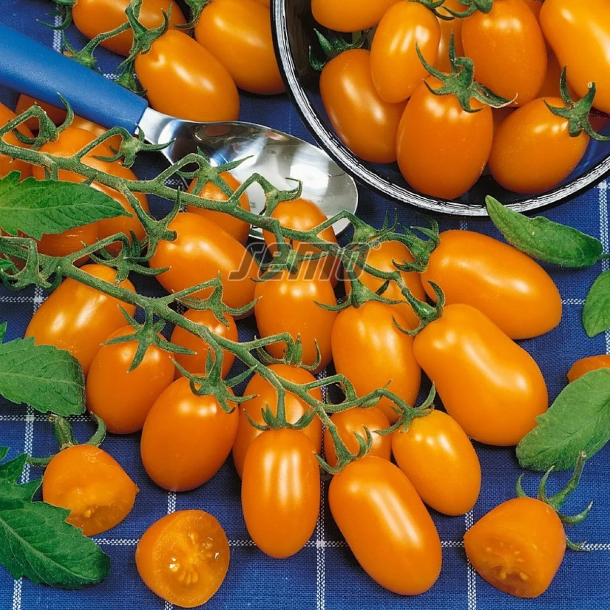 Томат високий ‘Datlo F1’