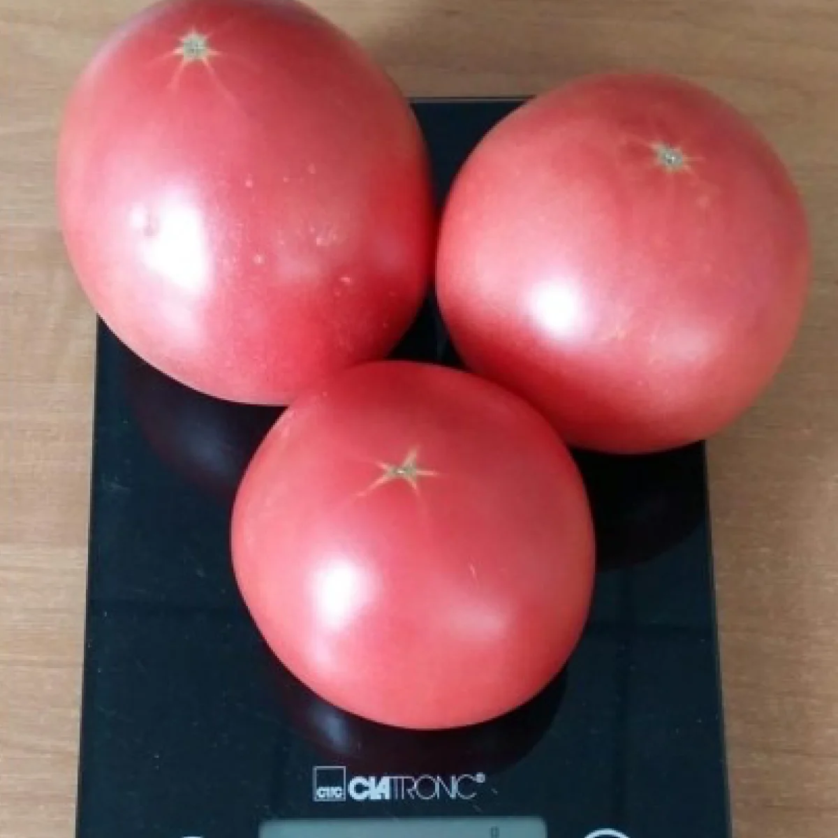 Томат високий ‘Manusa F1’