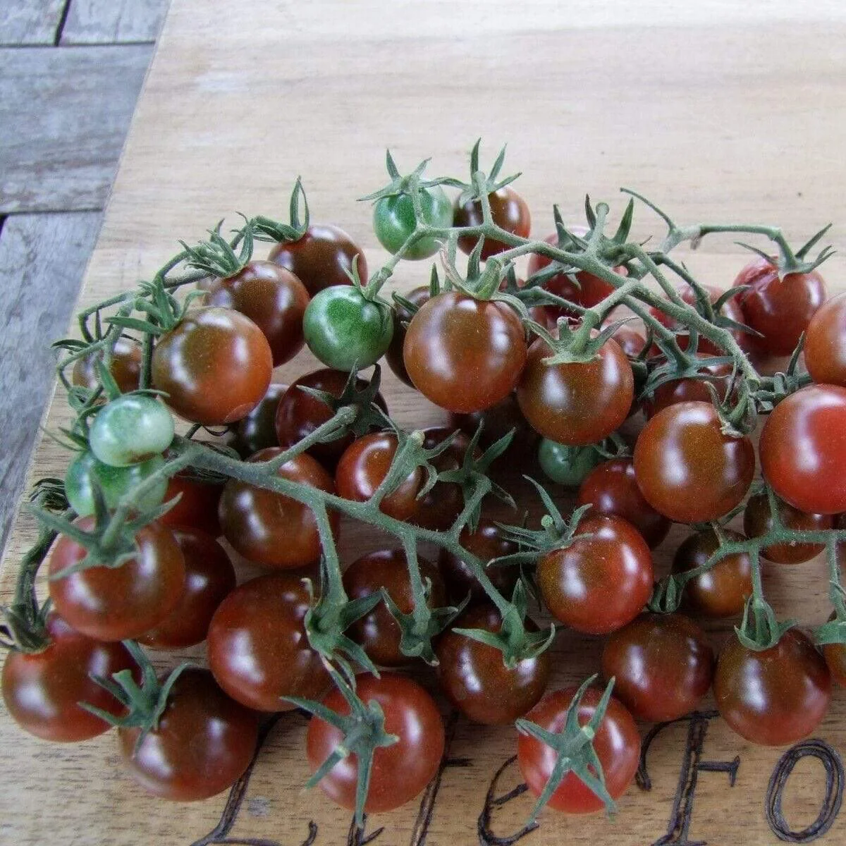 Томат ‘Brown Berry’ (Solanum lycopersicum)