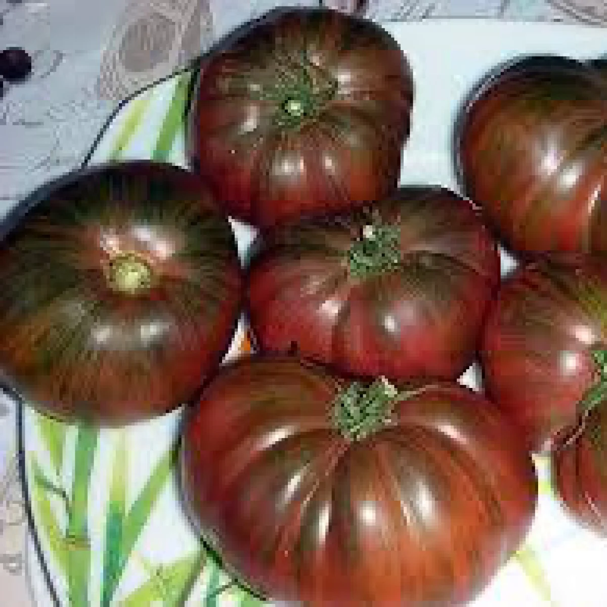 Томат ‘Dwarf Adelaide Festival’ (Solanum lycopersicum)