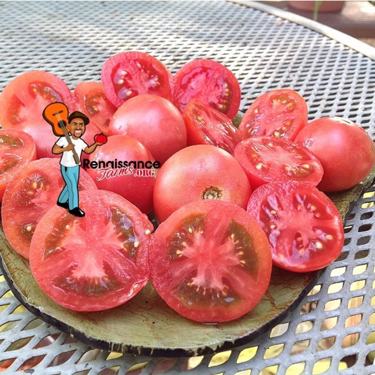 Томат ‘Dwarf Pink Opal’ (Solanum lycopersicum)