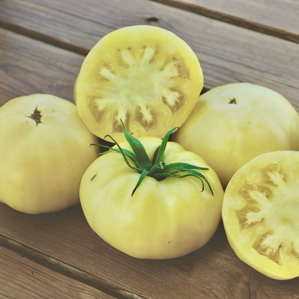 Томат ‘Great White’ (Solanum lycopersicum)