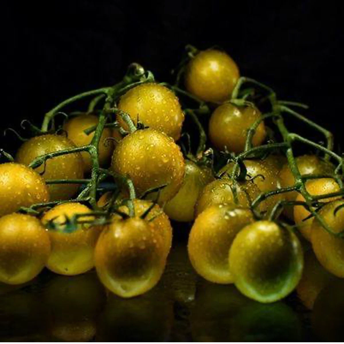 Томат ‘Green Grape’ (Solanum lycopersicum)