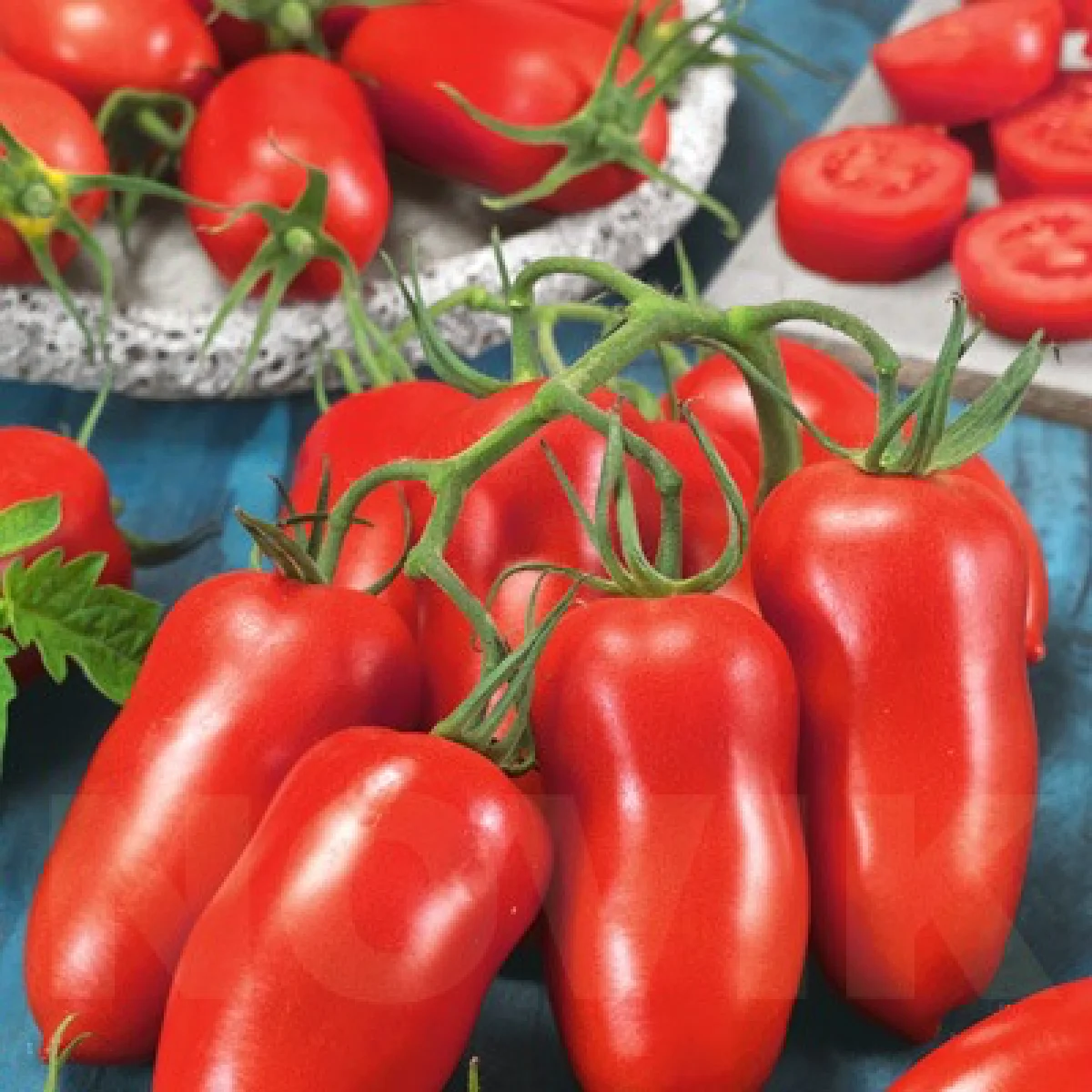 Томат ‘Lady Fingers’ (Solanum lycopersicum)