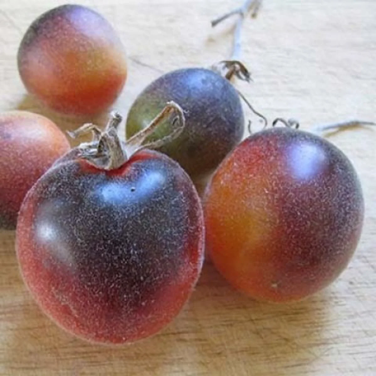 Томат ‘Mohnahtyi Kate’ (Solanum lycopersicum)